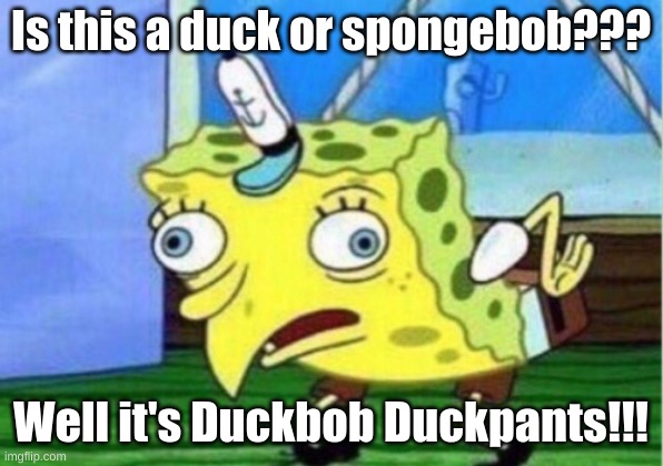 Spongeduck | Is this a duck or spongebob??? Well it's Duckbob Duckpants!!! | image tagged in memes,mocking spongebob | made w/ Imgflip meme maker