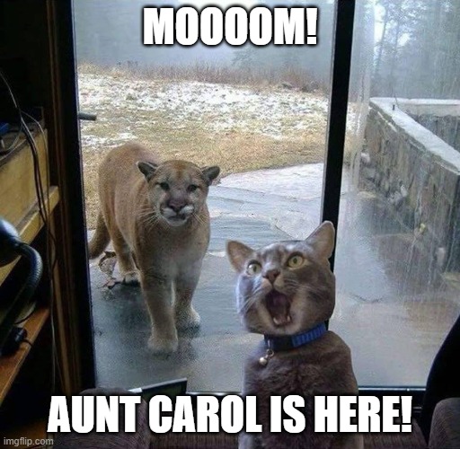 love and hate relationships | MOOOOM! AUNT CAROL IS HERE! | image tagged in house cat with mountain lion at the door | made w/ Imgflip meme maker