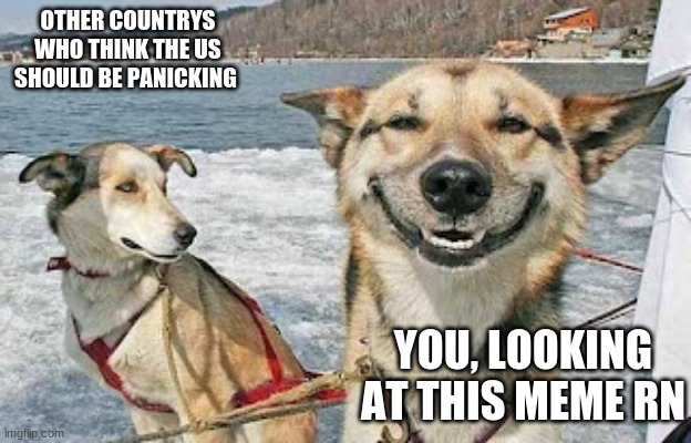 Original Stoner Dog | OTHER COUNTRYS WHO THINK THE US SHOULD BE PANICKING; YOU, LOOKING AT THIS MEME RN | image tagged in memes,original stoner dog | made w/ Imgflip meme maker
