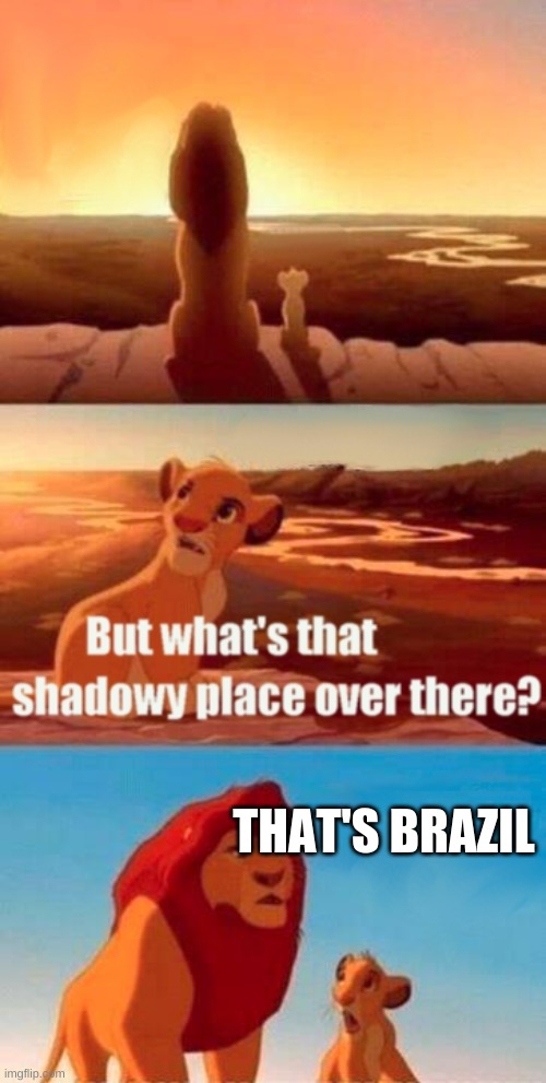 Simba Shadowy Place | THAT'S BRAZIL | image tagged in memes,simba shadowy place | made w/ Imgflip meme maker