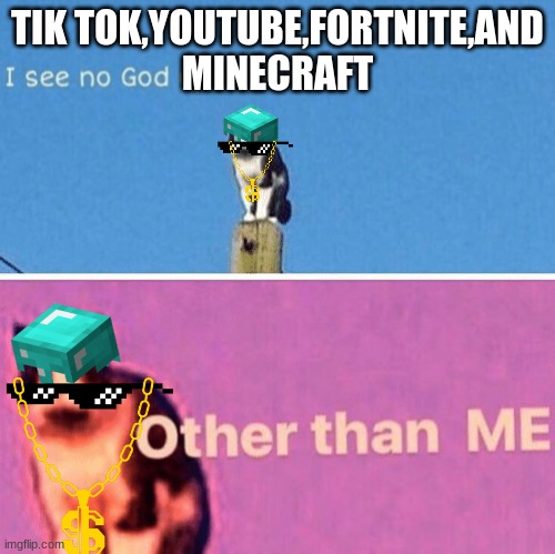 Hail pole cat | TIK TOK,YOUTUBE,FORTNITE,AND MINECRAFT | image tagged in hail pole cat | made w/ Imgflip meme maker