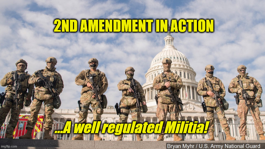 2nd Amendment in Action | 2ND AMENDMENT IN ACTION; ...A well regulated Militia! | image tagged in national guard capitol 2021 | made w/ Imgflip meme maker