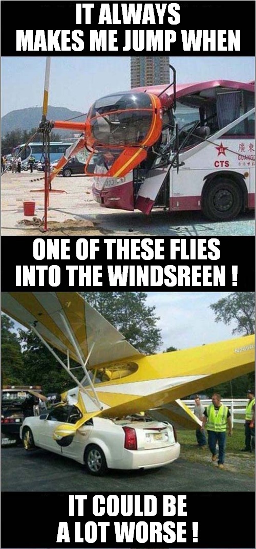 Irritating Bugs ! | IT ALWAYS MAKES ME JUMP WHEN; ONE OF THESE FLIES INTO THE WINDSREEN ! IT COULD BE A LOT WORSE ! | image tagged in fun,bugs,crashes | made w/ Imgflip meme maker