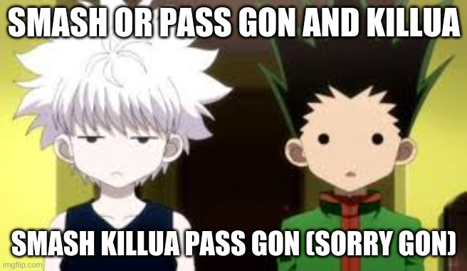 Gon and Killua Smash or Pass? | SMASH OR PASS GON AND KILLUA; SMASH KILLUA PASS GON (SORRY GON) | image tagged in anime,hunter x hunter | made w/ Imgflip meme maker