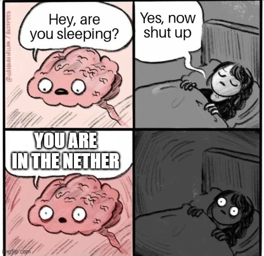 nether meme | YOU ARE IN THE NETHER | image tagged in hey are you sleeping | made w/ Imgflip meme maker