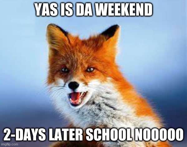 NOOOOOOO | YAS IS DA WEEKEND; 2-DAYS LATER SCHOOL NOOOOO | image tagged in school,weekend,aw shit here we go again | made w/ Imgflip meme maker