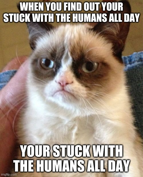 Grumpy Cat | WHEN YOU FIND OUT YOUR STUCK WITH THE HUMANS ALL DAY; YOUR STUCK WITH THE HUMANS ALL DAY | image tagged in memes,grumpy cat | made w/ Imgflip meme maker