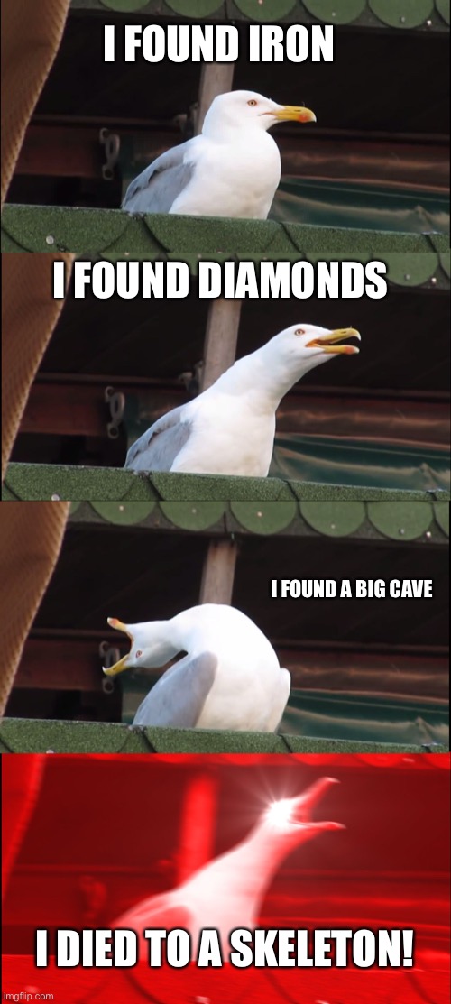 Minecraft | I FOUND IRON; I FOUND DIAMONDS; I FOUND A BIG CAVE; I DIED TO A SKELETON! | image tagged in memes,inhaling seagull | made w/ Imgflip meme maker