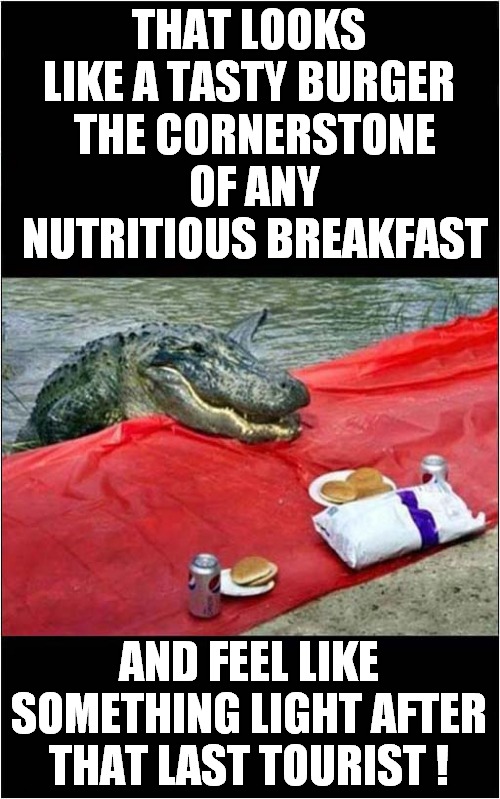 An Alligator Named Jules | THAT LOOKS LIKE A TASTY BURGER; THE CORNERSTONE OF ANY NUTRITIOUS BREAKFAST; AND FEEL LIKE SOMETHING LIGHT AFTER THAT LAST TOURIST ! | image tagged in fun,alligator,pulp fiction - jules | made w/ Imgflip meme maker