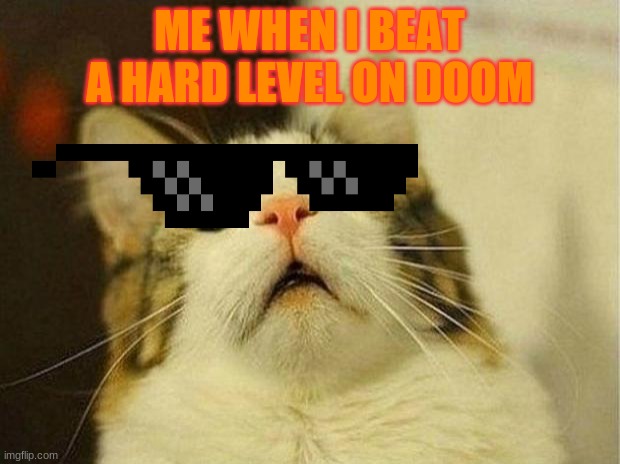 Scared Cat Meme | ME WHEN I BEAT A HARD LEVEL ON DOOM | image tagged in memes,scared cat | made w/ Imgflip meme maker