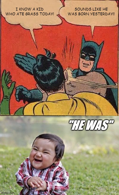 Born Yesterday | I KNOW A KID WHO ATE GRASS TODAY! SOUNDS LIKE HE WAS BORN YESTERDAY!! "HE WAS" | image tagged in memes,batman slapping robin,evil toddler | made w/ Imgflip meme maker