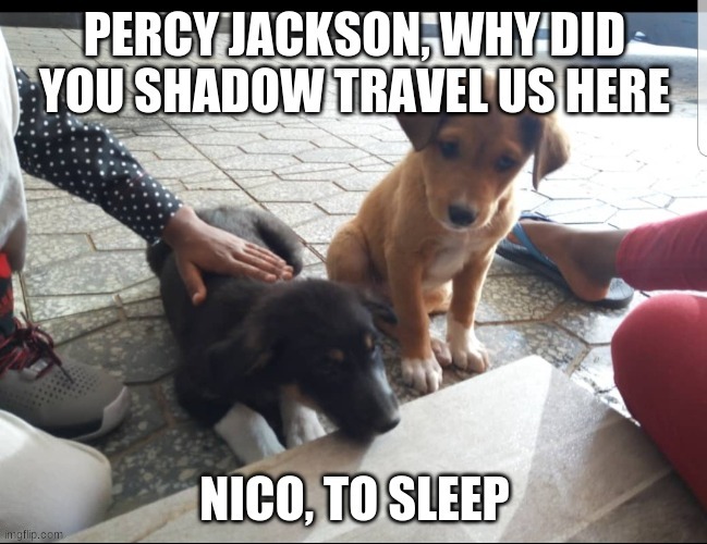 Nico and Percy Shadow Travel | image tagged in percy jackson | made w/ Imgflip meme maker
