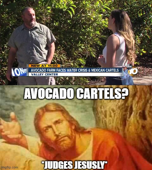Avogadro | AVOCADO CARTELS? *JUDGES JESUSLY* | image tagged in cartel,avocado,yesus | made w/ Imgflip meme maker