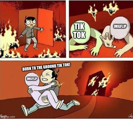 BURN TO THE GROUND TIK TOK! | IMGFLIP; TIK TOK; BURN TO THE GROUND TIK TOK! IMGFLIP | image tagged in you can only save one from fire | made w/ Imgflip meme maker