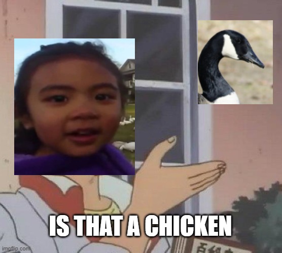 No, Its not | IS THAT A CHICKEN | image tagged in memes,is this a pigeon | made w/ Imgflip meme maker