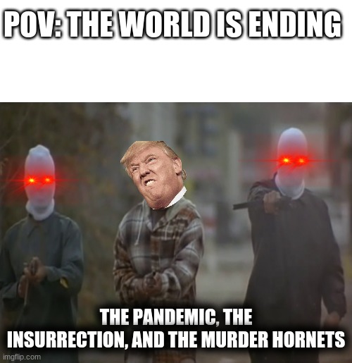 The world feels like it is ending | POV: THE WORLD IS ENDING; THE PANDEMIC, THE INSURRECTION, AND THE MURDER HORNETS | image tagged in covid-19 | made w/ Imgflip meme maker