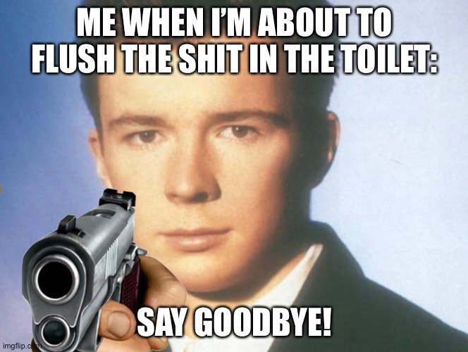 RelAtive memes | ME WHEN I’M ABOUT TO FLUSH THE SHIT IN THE TOILET:; SAY GOODBYE! | image tagged in you know the rules and so do i say goodbye | made w/ Imgflip meme maker