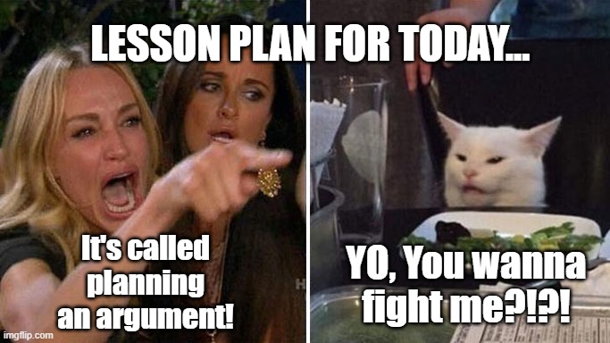 Angry lady cat | LESSON PLAN FOR TODAY... It's called planning an argument! YO, You wanna fight me?!?! | image tagged in angry lady cat | made w/ Imgflip meme maker