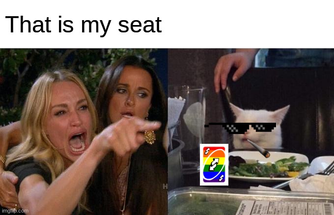 Woman Yelling At Cat Meme | That is my seat | image tagged in memes,woman yelling at cat | made w/ Imgflip meme maker