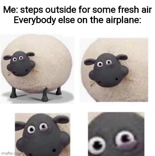 Sheep With Half Closed Eye | Me: steps outside for some fresh air
Everybody else on the airplane: | image tagged in sheep with half closed eye,airplane,plane | made w/ Imgflip meme maker