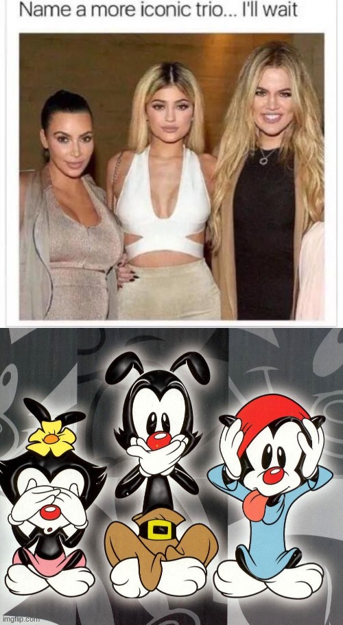 no need to wait | image tagged in name a more iconic trio,animaniacs,why wait | made w/ Imgflip meme maker