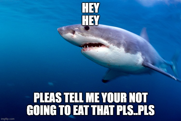 bruh | HEY
HEY; PLEAS TELL ME YOUR NOT GOING TO EAT THAT PLS..PLS | image tagged in food | made w/ Imgflip meme maker