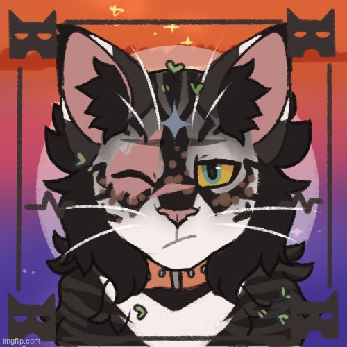 Warrior cat! Her name is Snakebite | made w/ Imgflip meme maker