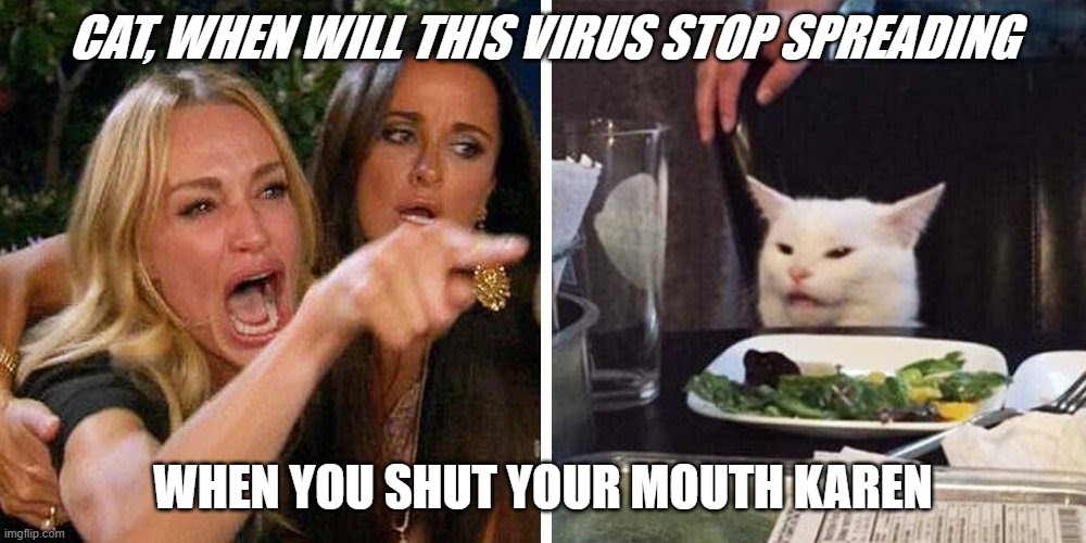 Smudge the cat | CAT, WHEN WILL THIS VIRUS STOP SPREADING; WHEN YOU SHUT YOUR MOUTH KAREN | image tagged in smudge the cat | made w/ Imgflip meme maker