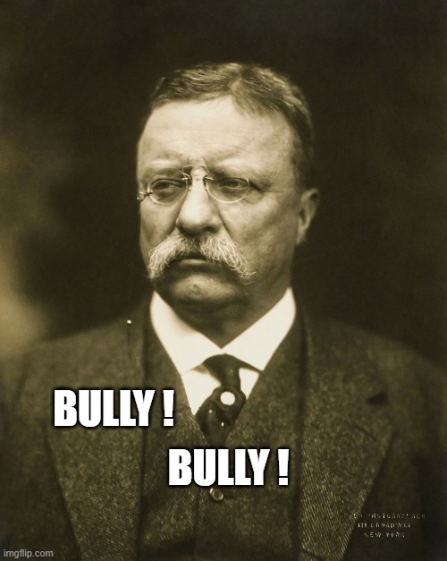 teddy roosevelt | BULLY ! BULLY ! | image tagged in teddy roosevelt | made w/ Imgflip meme maker