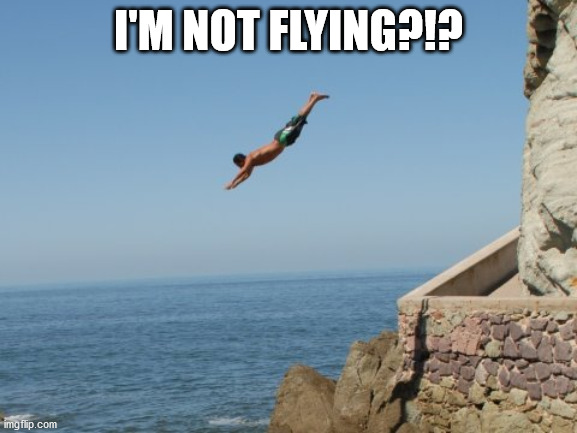 Cliff Diver | I'M NOT FLYING?!? | image tagged in cliff diver | made w/ Imgflip meme maker