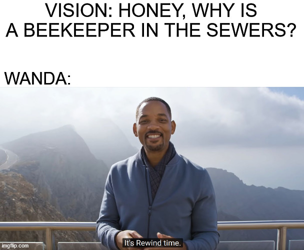 WandaVision Episode 2 Meme | VISION: HONEY, WHY IS A BEEKEEPER IN THE SEWERS? WANDA: | image tagged in memes,funny,wandavision,marvel,disney plus,spoilers | made w/ Imgflip meme maker