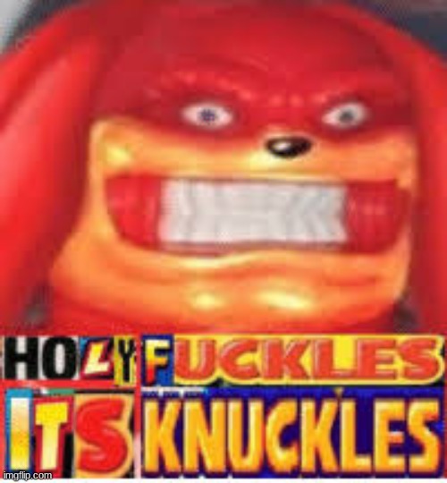 Holy F*ckles it's Knuckles | image tagged in holy f ckles it's knuckles | made w/ Imgflip meme maker
