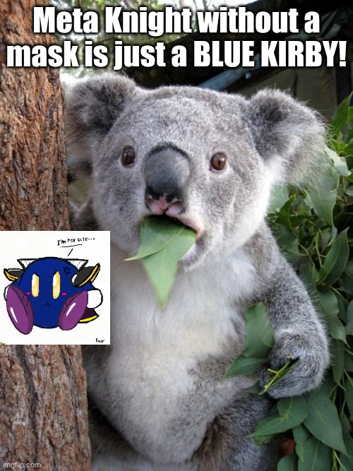 This is true | Meta Knight without a mask is just a BLUE KIRBY! | image tagged in memes,surprised koala,kirby,meta knight | made w/ Imgflip meme maker