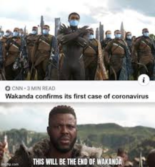 The end of Wakanda | image tagged in wakanda | made w/ Imgflip meme maker