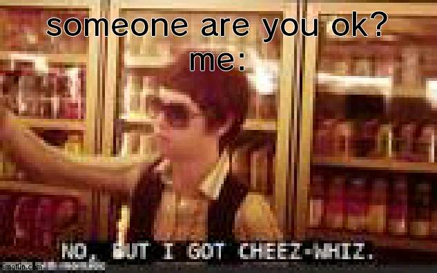 someone are you ok?
me: | image tagged in no but i got cheez-whiz | made w/ Imgflip meme maker