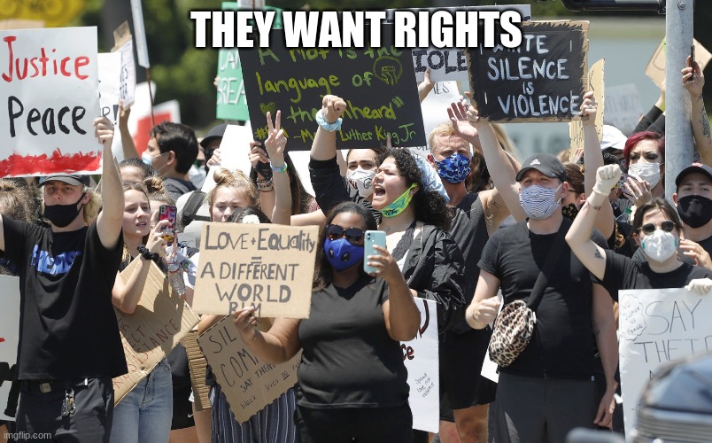 THEY WANT RIGHTS | made w/ Imgflip meme maker