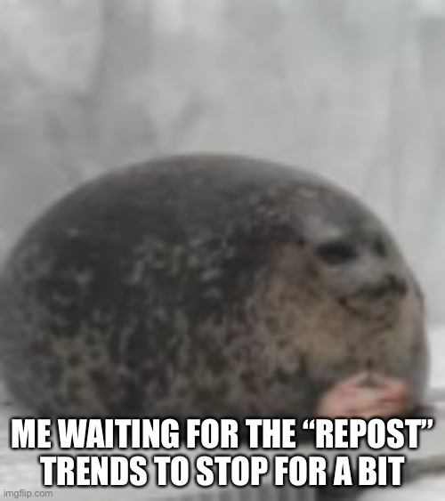 A meme that will get buried pretty darn fast | ME WAITING FOR THE “REPOST” TRENDS TO STOP FOR A BIT | image tagged in waiting seal | made w/ Imgflip meme maker