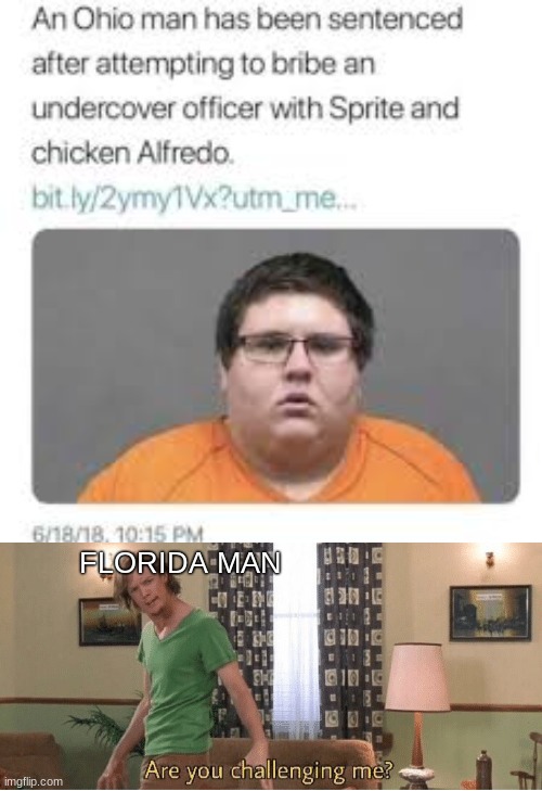 Well, ARE YOU? | FLORIDA MAN | image tagged in are you challenging me | made w/ Imgflip meme maker