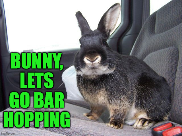 BUNNY, LETS GO BAR HOPPING | image tagged in bunnies | made w/ Imgflip meme maker