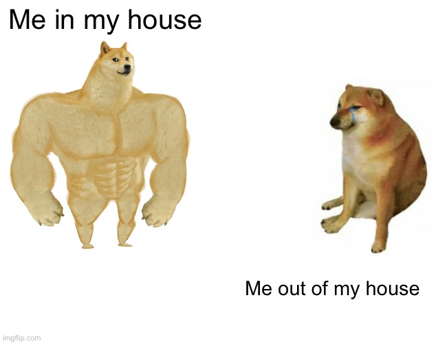 Buff Doge vs. Cheems | Me in my house; Me out of my house | image tagged in memes,buff doge vs cheems | made w/ Imgflip meme maker