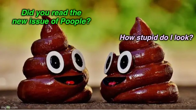 Did you read the new issue of Poople? How stupid do I look? | made w/ Imgflip meme maker