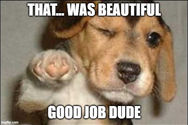 good job dog | THAT... WAS BEAUTIFUL GOOD JOB DUDE | image tagged in good job dog | made w/ Imgflip meme maker