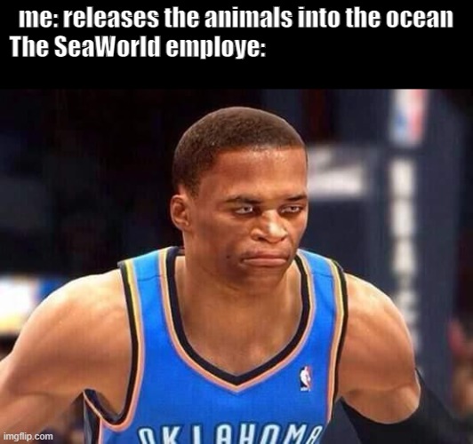 Westbrook NBA Live | me: releases the animals into the ocean
The SeaWorld employe: | image tagged in westbrook nba live | made w/ Imgflip meme maker