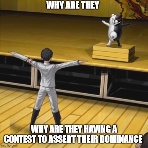assert your dominance monokuma | WHY ARE THEY; WHY ARE THEY HAVING A CONTEST TO ASSERT THEIR DOMINANCE | image tagged in danganronpa,t-pose | made w/ Imgflip meme maker