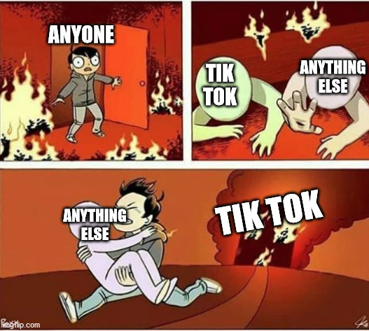 You Can Only Save one From Fire | ANYONE; ANYTHING ELSE; TIK TOK; TIK TOK; ANYTHING ELSE | image tagged in you can only save one from fire | made w/ Imgflip meme maker