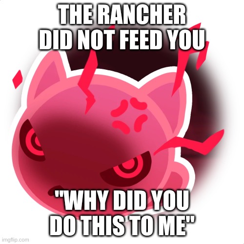 slimey and new memes : ) | THE RANCHER DID NOT FEED YOU; "WHY DID YOU DO THIS TO ME" | image tagged in feral slime | made w/ Imgflip meme maker