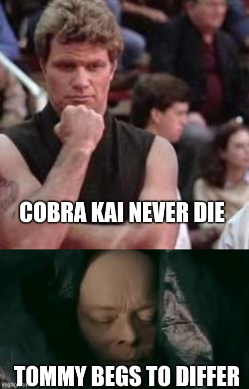 COBRA KAI NEVER DIE; TOMMY BEGS TO DIFFER | image tagged in cobra kai | made w/ Imgflip meme maker