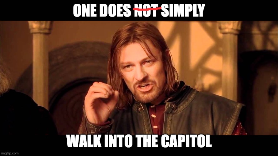 Walk Into Mordor | ONE DOES NOT SIMPLY; WALK INTO THE CAPITOL | image tagged in walk into mordor | made w/ Imgflip meme maker