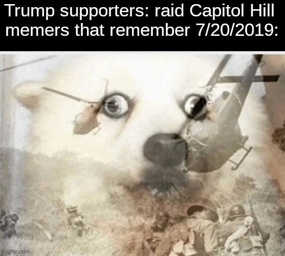 Area 51 | Trump supporters: raid Capitol Hill 
memers that remember 7/20/2019: | image tagged in ptsd dog,memes,funny,area 51 | made w/ Imgflip meme maker