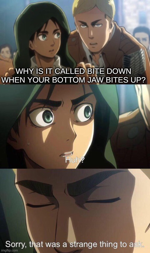 Strange question attack on titan | WHY IS IT CALLED BITE DOWN WHEN YOUR BOTTOM JAW BITES UP? | image tagged in strange question attack on titan,anime,attack on titan | made w/ Imgflip meme maker